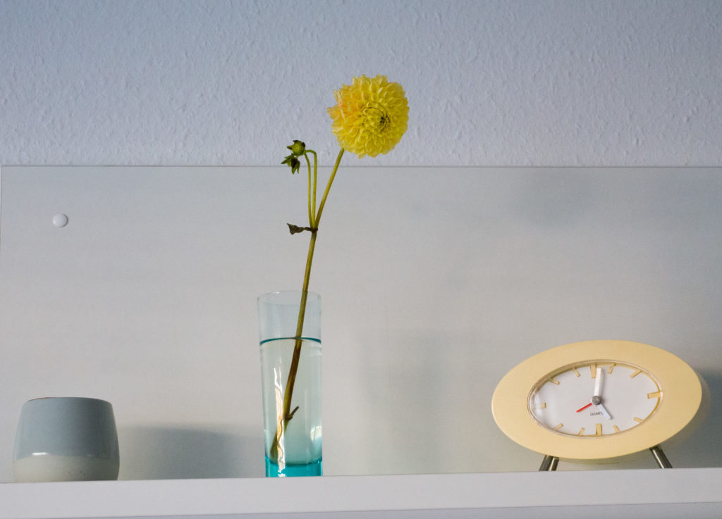 Nahaufnahme einer Blume in einer Vase mit einer kleinen Uhr daneben.